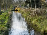 B, Limburg, Lommel, Wateringen 11, Saxifraga-Jan van der Straaten